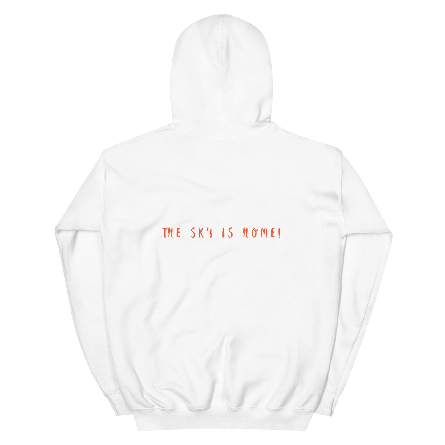 Plane Design Hoodie