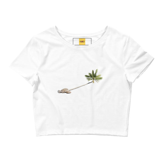 CLICKS Palm Tree Crop