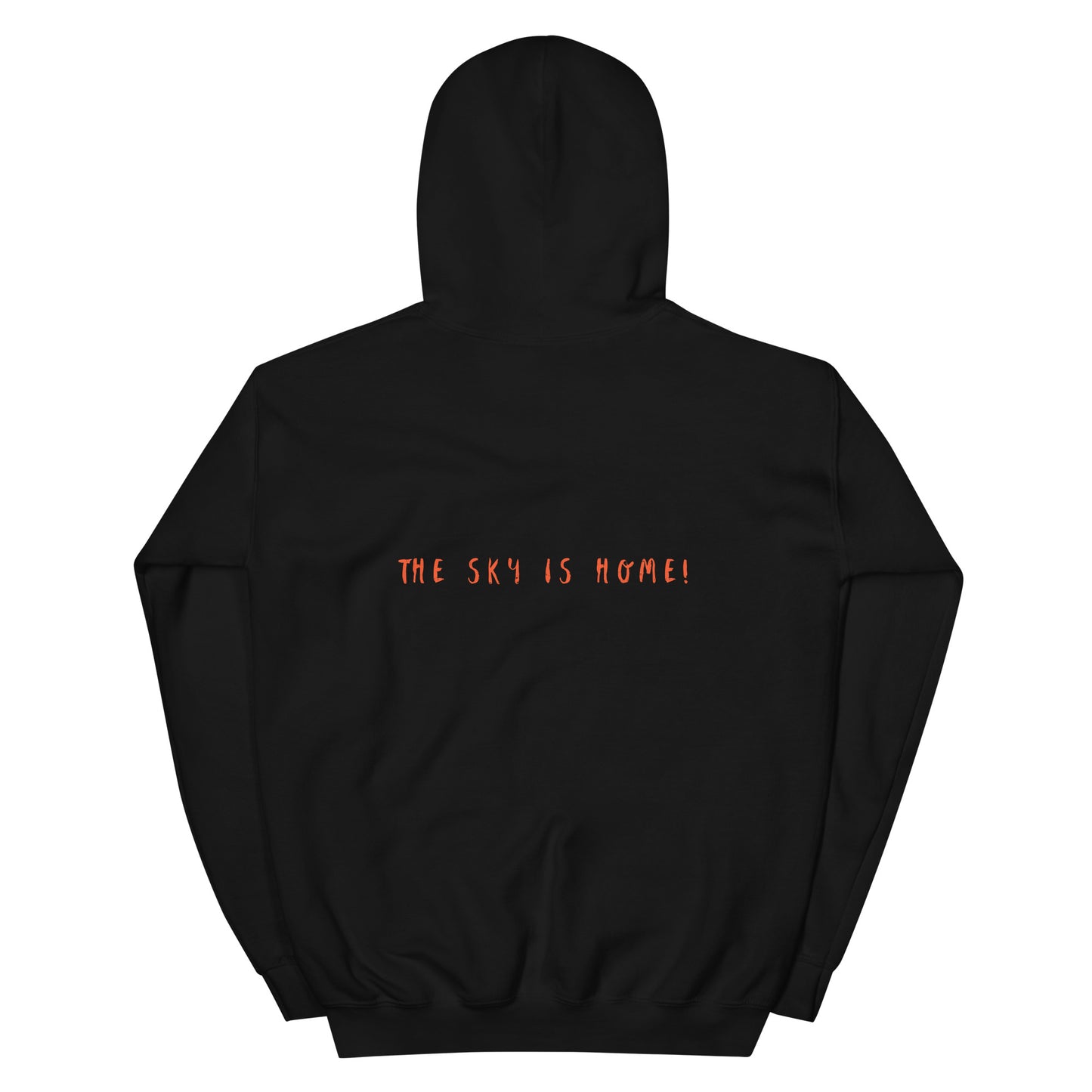 Plane Design Hoodie