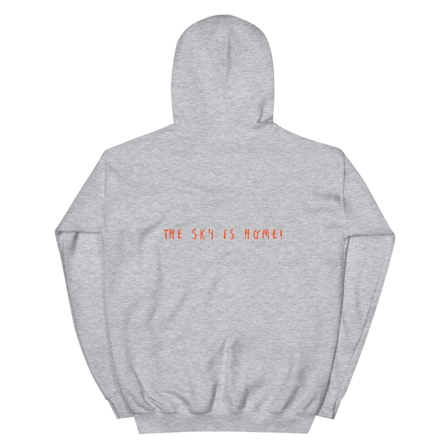 Plane Design Hoodie